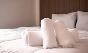 Radisson Blu Hotel Frankfurt limousine service