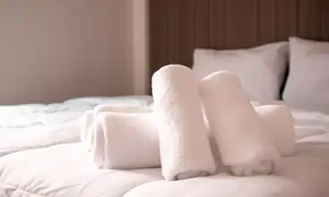 Sofitel Brussels limousine service